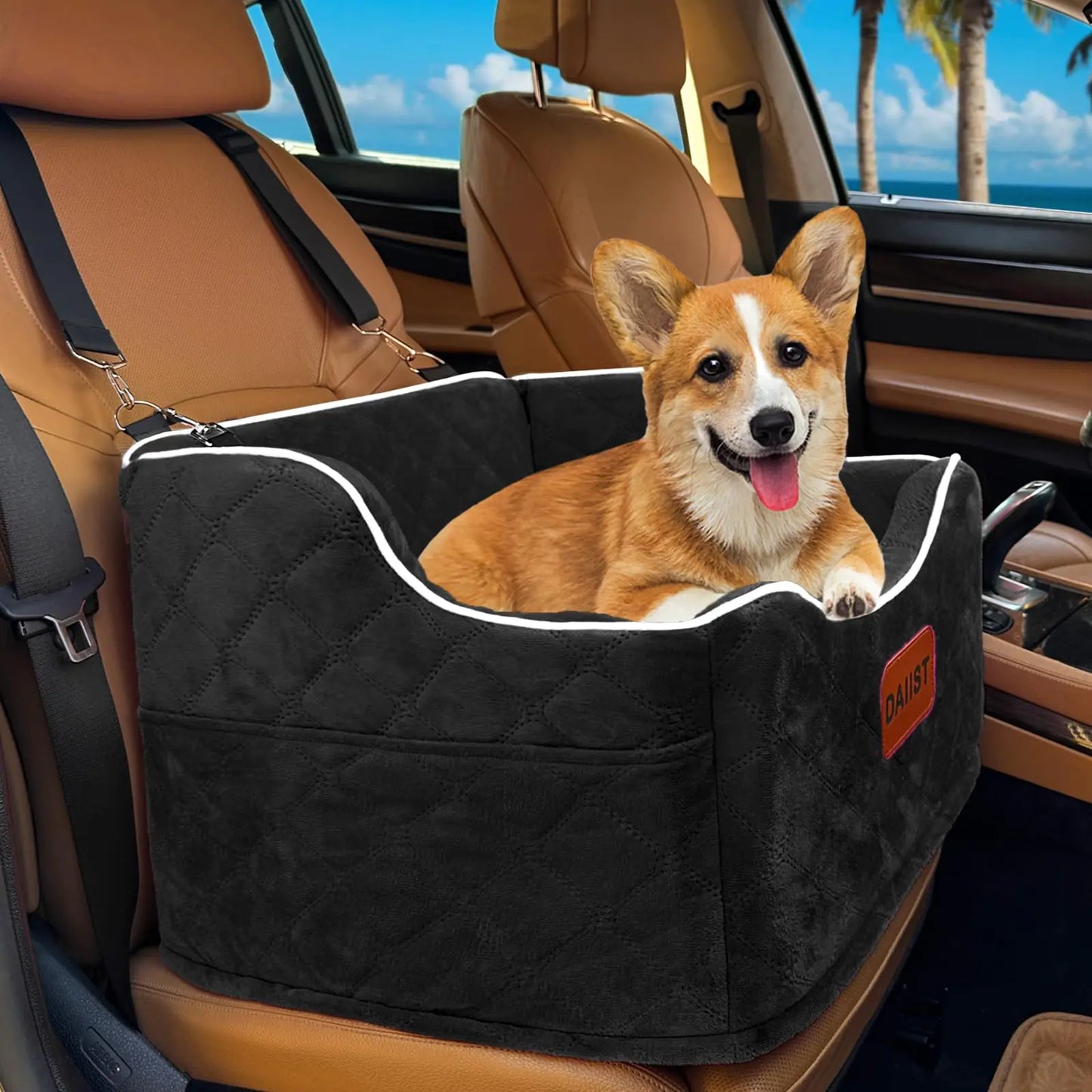 Pet car booster seat