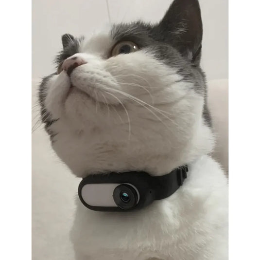 Pet Collar Camera